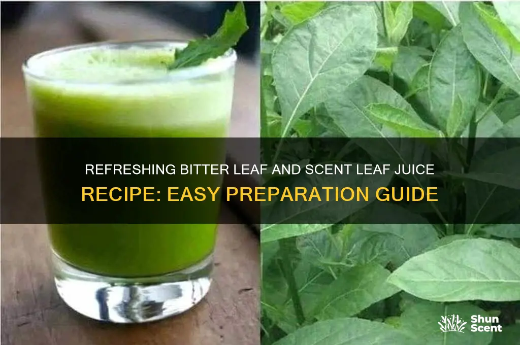 how to prepare bitter leaf and scent leaf juice
