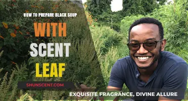 Delicious Black Soup Recipe: Scent Leaf Preparation Guide for Beginners