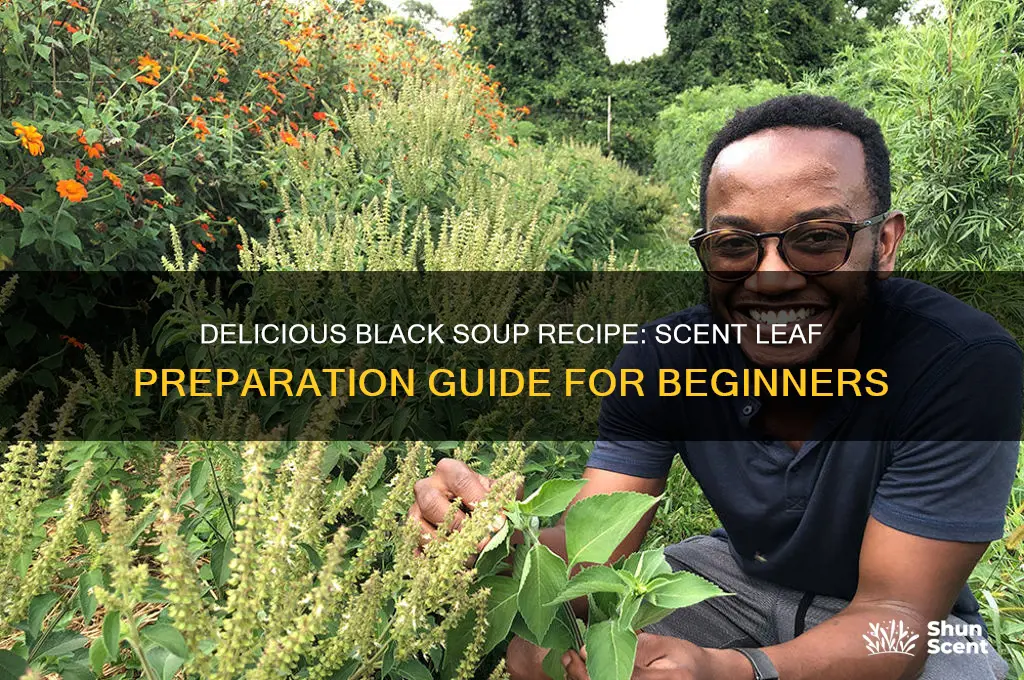 how to prepare black soup with scent leaf