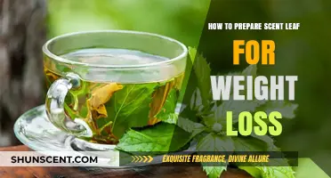 Effective Scent Leaf Preparation Tips for Natural Weight Loss
