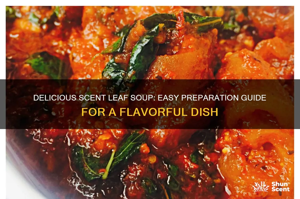 how to prepare scent leaf soup