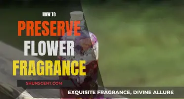 Preserving the Fragrance of Flowers: Techniques for Longevity