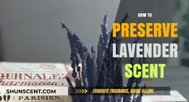 Preserve Lavender Scent: Tips for Long-Lasting Fragrance and Freshness