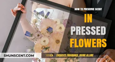 Preserving Fragrance: Tips for Maintaining Scent in Pressed Flowers