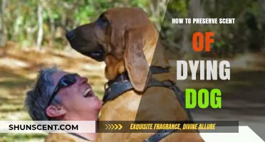 Preserving Your Dog's Scent: A Comforting Memory for Grieving Pet Owners