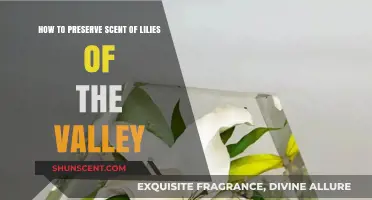Preserving the Delicate Scent of Lilies of the Valley: Tips and Tricks