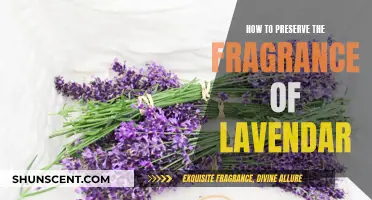 Capturing Lavender's Essence: Tips for Long-Lasting Fragrance Preservation