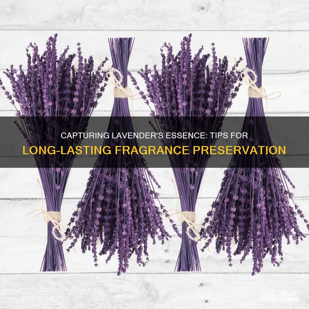 how to preserve the fragrance of lavendar