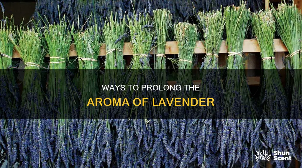 how to preserve the fragrance of lavendar