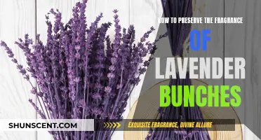 Scented Secrets: Preserving Lavender's Fragrant Bunches