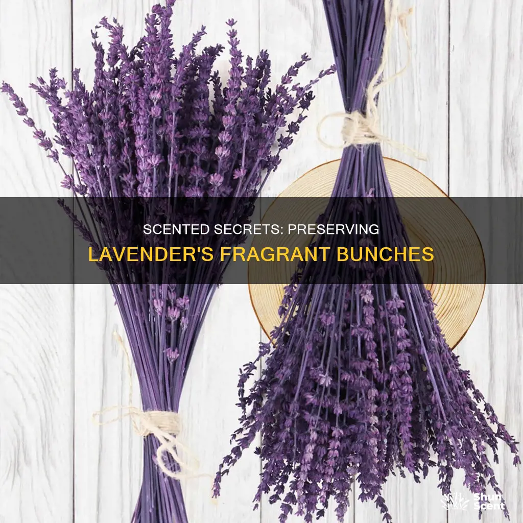 how to preserve the fragrance of lavender bunches