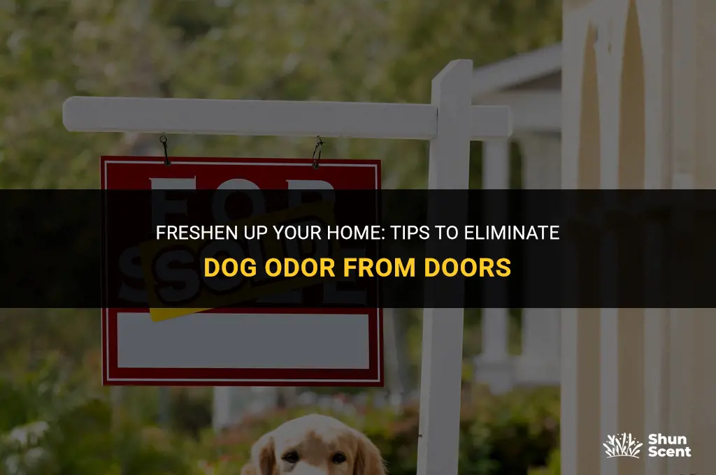 how to prevent dloors from smelling like dog