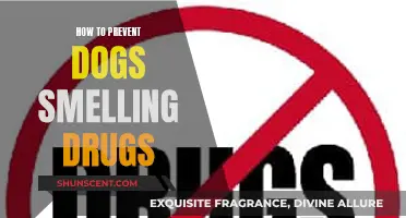Effective Strategies to Prevent Dogs from Detecting Drugs