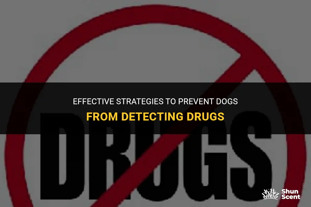 how to prevent dogs smelling drugs