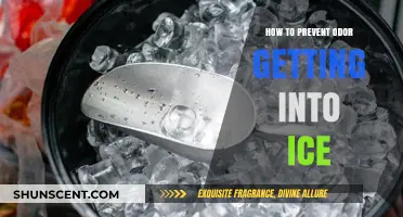 Fresh Freeze: Tips to Keep Your Ice Odor-Free