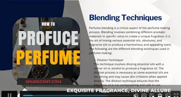 Creating Scents: A Guide to Perfume Making