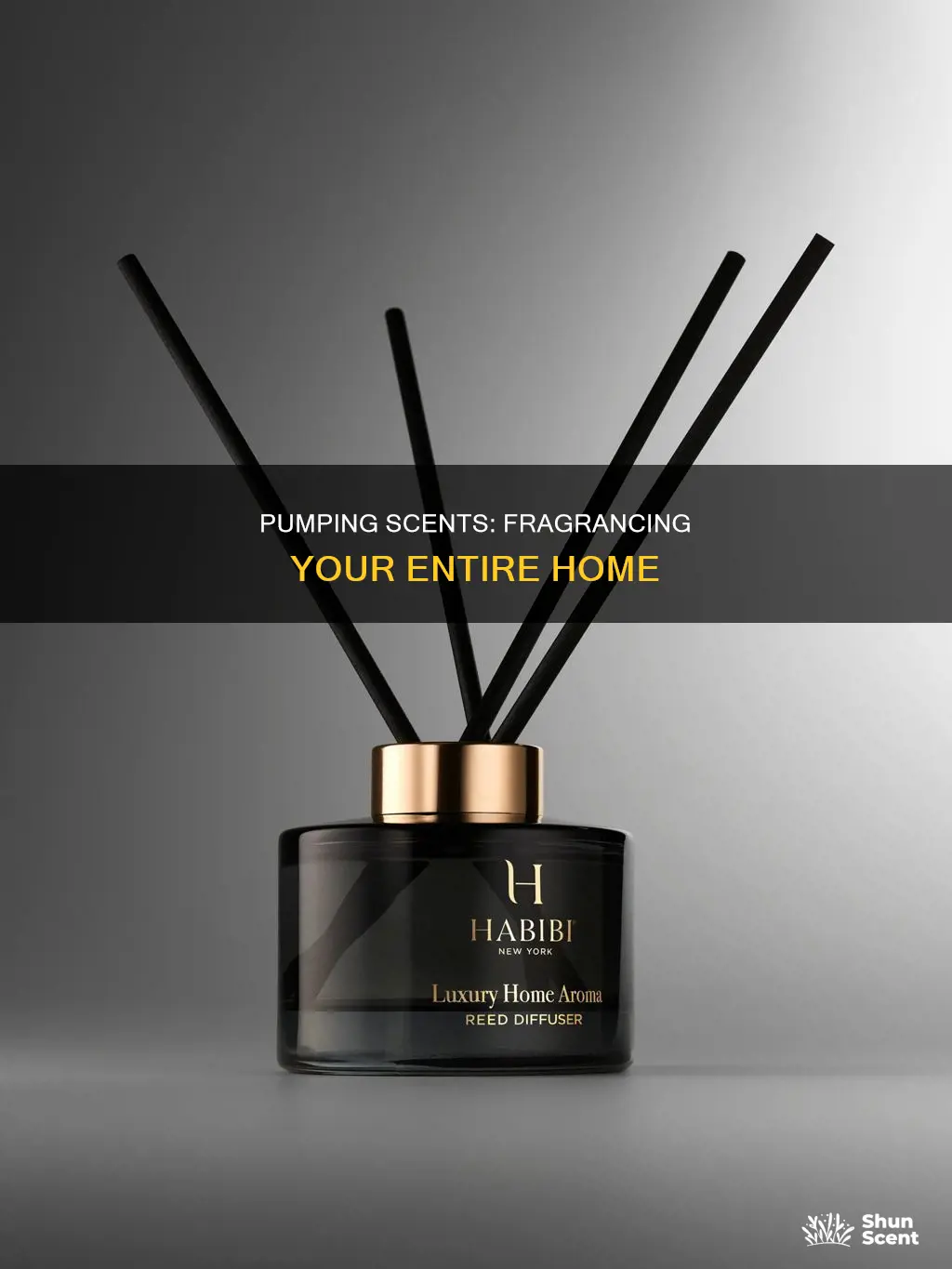 how to pump fragrance throughout house