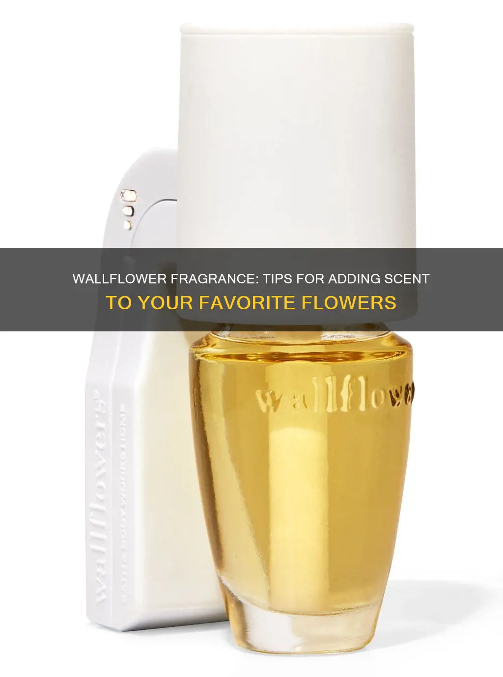 how to put fragrance in wallflower