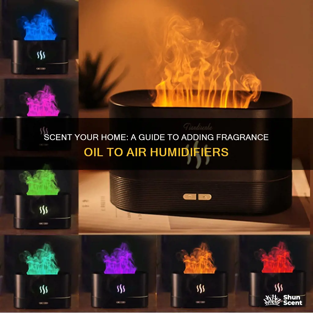 how to put fragrance oil in air humidifier