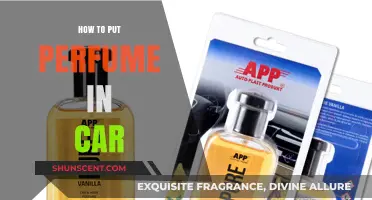 Scented Cars: Perfuming Your Vehicle