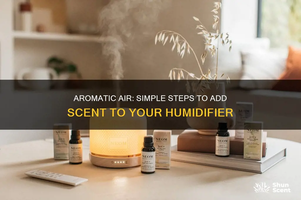how to put scent in humidifier