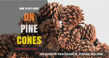 Infuse Pine Cones with Scent: Easy DIY Fragrance Tips
