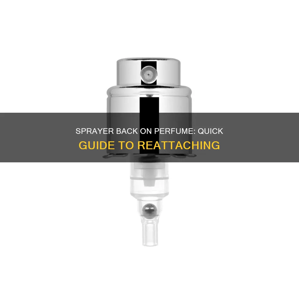 how to put sprayer back on perfume