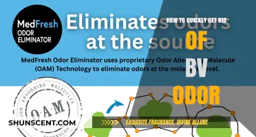Fresh and Clean: A Quick Guide to Eliminating BV Odor