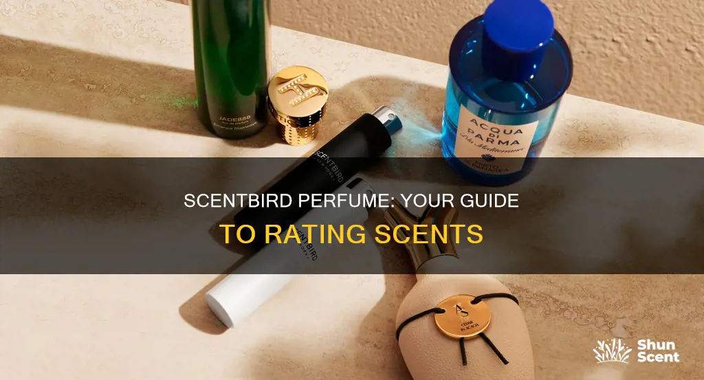 how to rate scentbird perfume