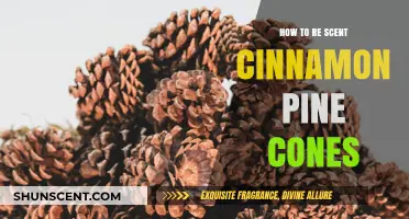 Revitalize Your Space: Easy Steps to Re-Scent Cinnamon Pine Cones