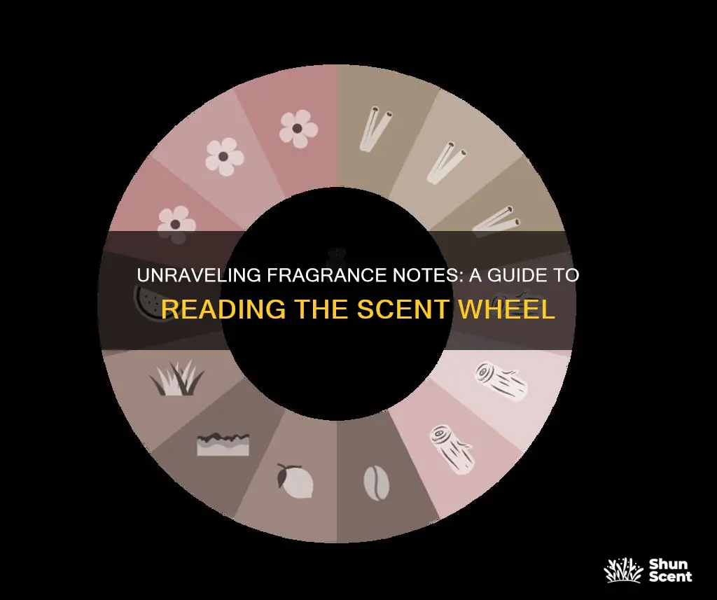 how to read a fragrance wheel