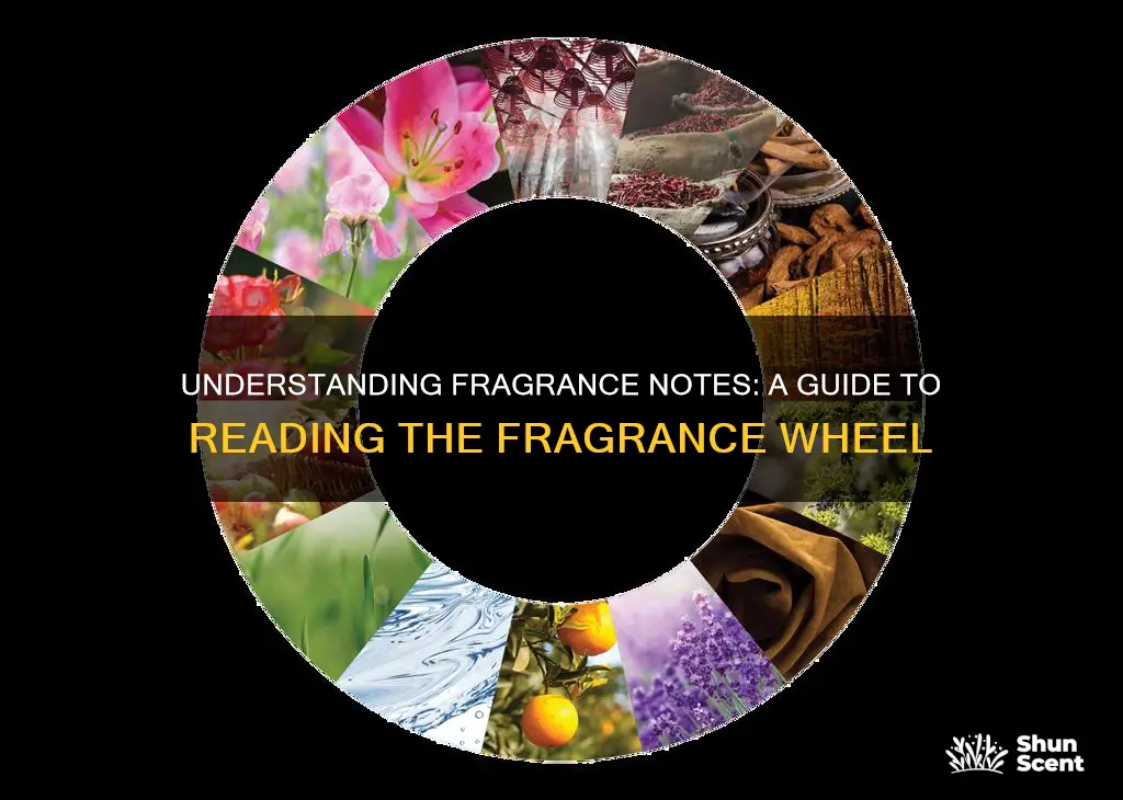 how to read a fragrance wheel