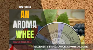 A Beginner's Guide to Reading an Aroma Wheel