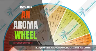 Understanding Aromas: Reading the Aroma Wheel Like a Pro