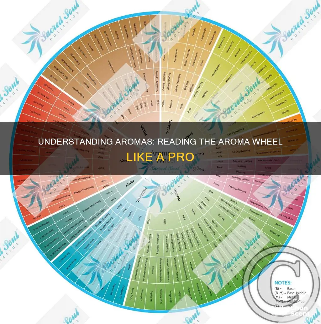 how to read an aroma wheel