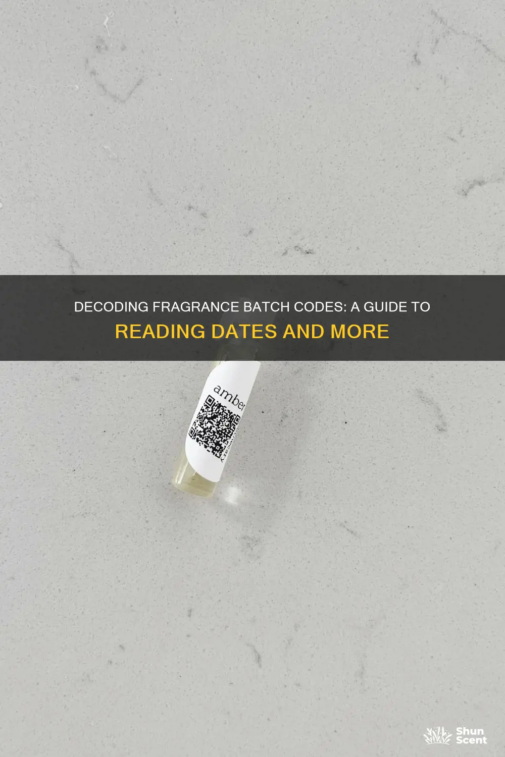 how to read batch codes fragrance