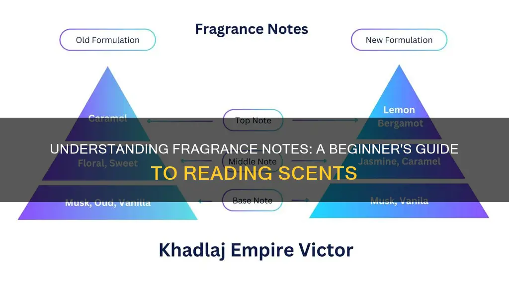 how to read fragrance notes