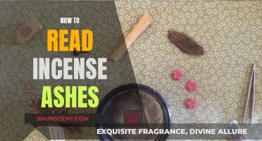 Reading Incense Ashes: Interpreting the Past for the Future