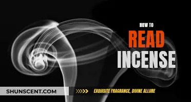 Understanding Incense: A Guide to Reading Scents and Smoke