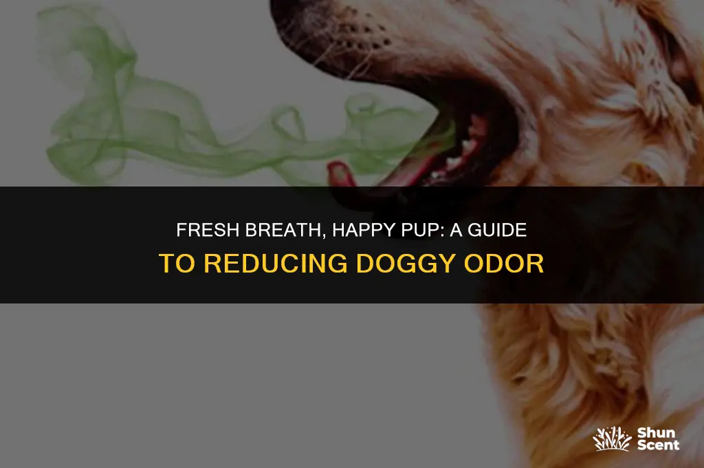 how to reduce dog mouth smell