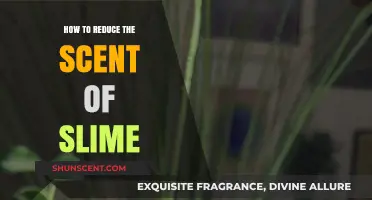 Effective Tips to Minimize Slime Odor: A Fresh Approach