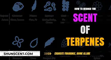 Effective Strategies to Minimize Terpene Odor in Your Space