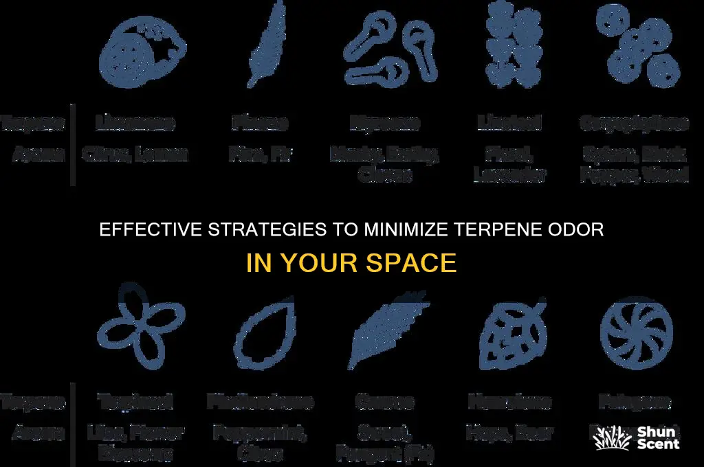 how to reduce the scent of terpenes