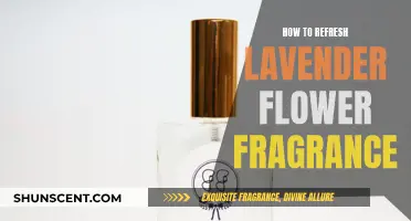 Revive Lavender's Scent: Simple Steps to Refresh Fragrant Flowers