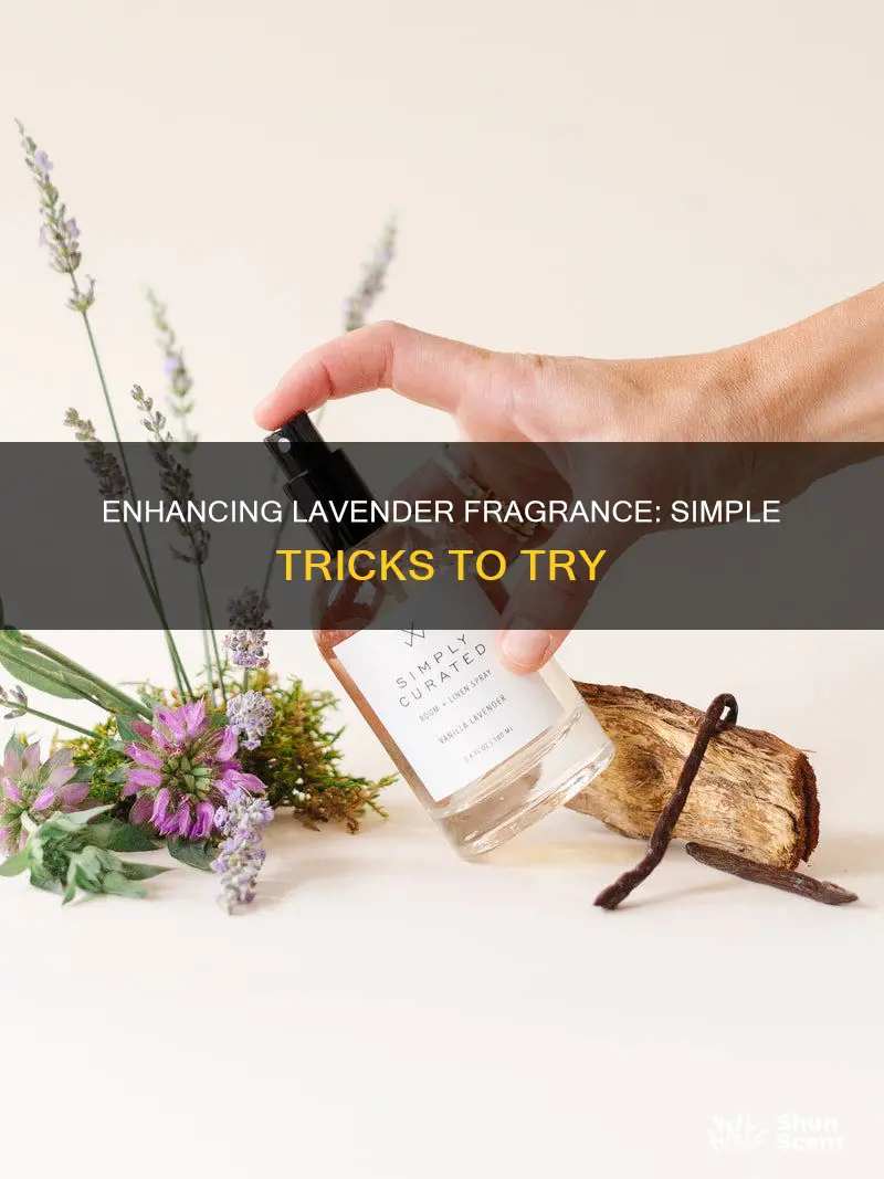 how to refresh lavender flower fragrance