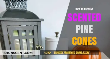 Revive Your Scented Pine Cones: Easy Refreshing Tips for Lasting Fragrance
