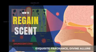 Effective Ways to Restore Your Sense of Smell Naturally and Safely
