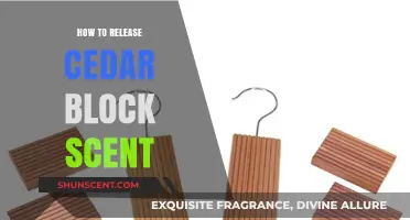 Unlocking Aromatic Bliss: Effective Ways to Release Cedar Block Scent
