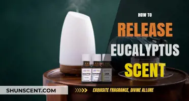 Unlocking Eucalyptus Aromatherapy: Simple Methods to Release Its Soothing Scent