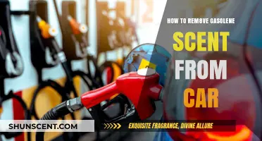 Effective Ways to Eliminate Gasoline Odor from Your Car Interior